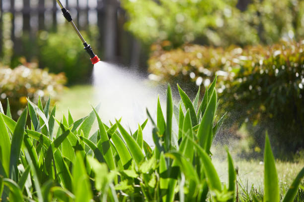 24/7 Emergency Mosquito Control experts in Bagdad, FL