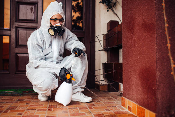 Reliable Mosquito Control contractor in Bagdad, FL by Show Me Pest Control